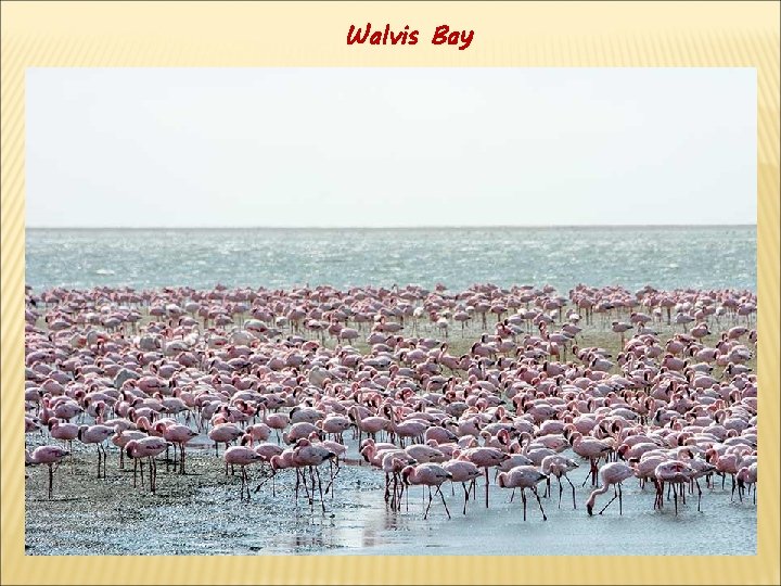 Walvis Bay 