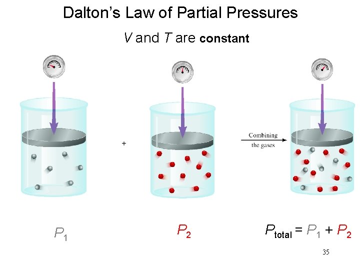Dalton’s Law of Partial Pressures V and T are constant P 1 P 2