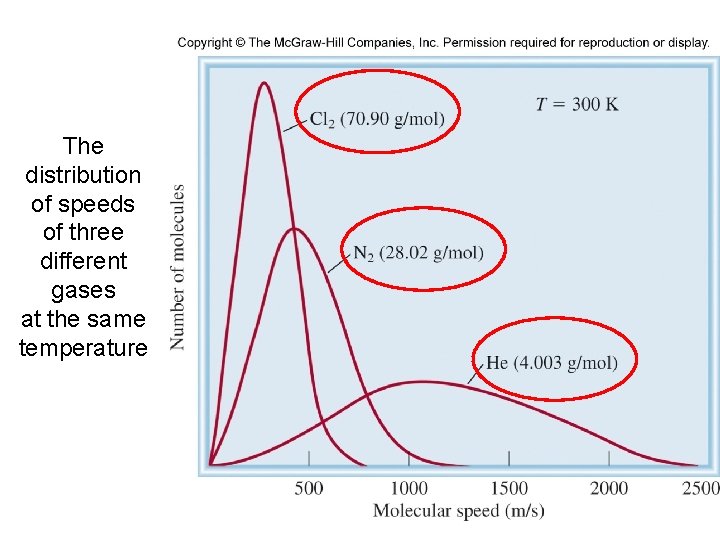 The distribution of speeds of three different gases at the same temperature 41 