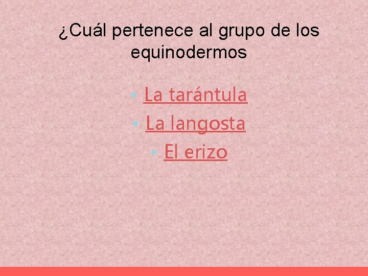 ¿Cuál pertenece al grupo de los equinodermos • La tarántula • La langosta •