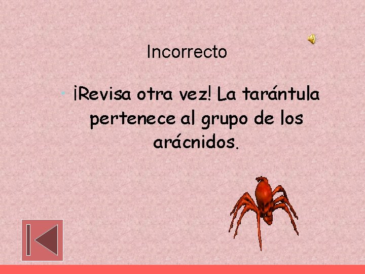 Incorrecto • ¡Revisa otra vez! La tarántula pertenece al grupo de los arácnidos. 
