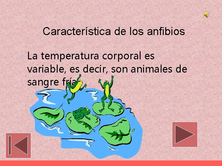 Característica de los anfibios • La temperatura corporal es variable, es decir, son animales