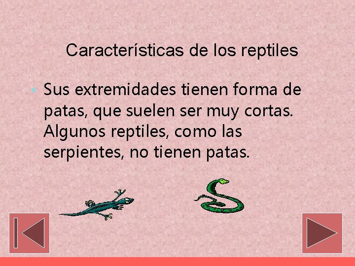 Características de los reptiles • Sus extremidades tienen forma de patas, que suelen ser