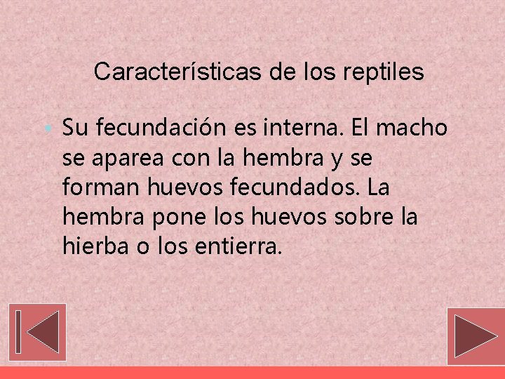 Características de los reptiles • Su fecundación es interna. El macho se aparea con