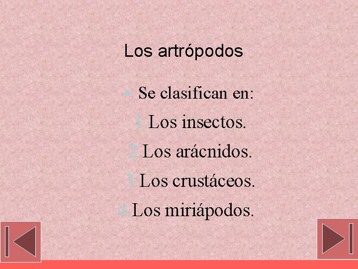 Los artrópodos • Se clasifican en: 1. Los insectos. 2. Los arácnidos. 3. Los