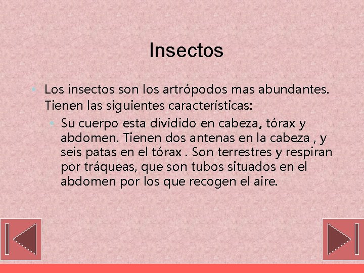 Insectos • Los insectos son los artrópodos mas abundantes. Tienen las siguientes características: •