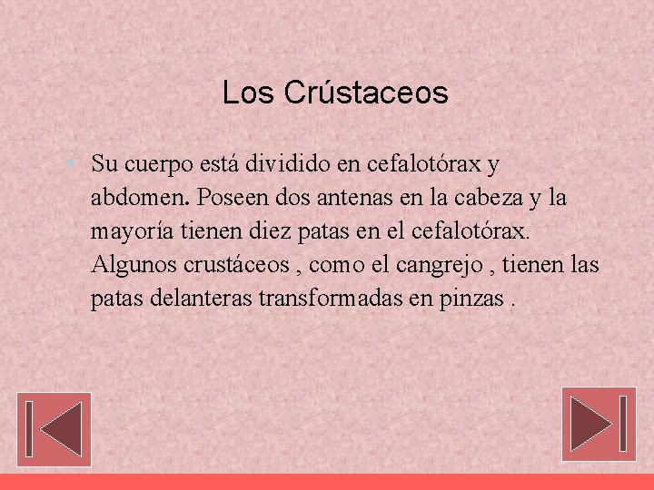 Los Crústaceos • Su cuerpo está dividido en cefalotórax y abdomen. Poseen dos antenas