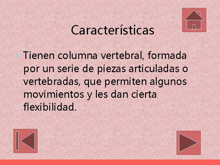 Características • Tienen columna vertebral, formada por un serie de piezas articuladas o vertebradas,