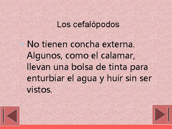 Los cefalópodos • No tienen concha externa. Algunos, como el calamar, llevan una bolsa