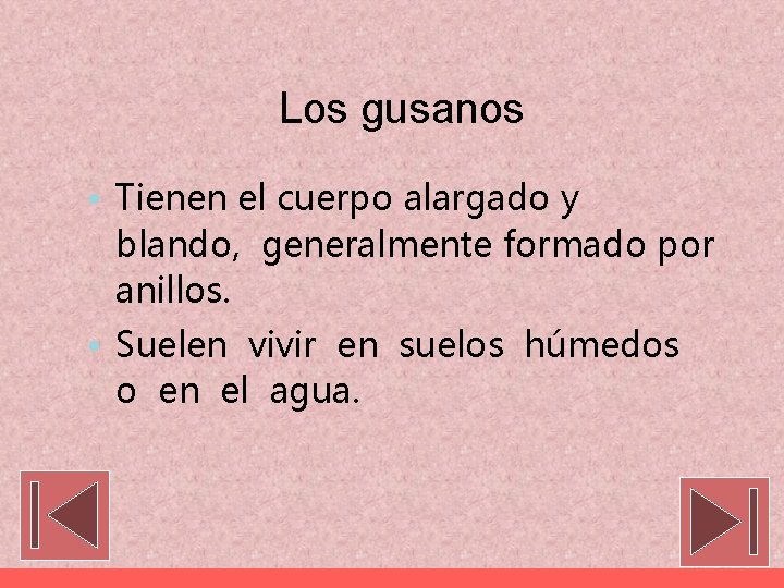 Los gusanos • Tienen el cuerpo alargado y blando, generalmente formado por anillos. •