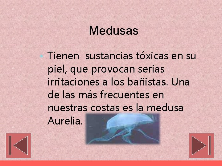 Medusas • Tienen sustancias tóxicas en su piel, que provocan serias irritaciones a los