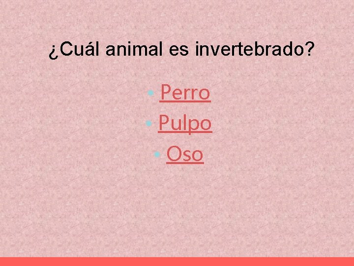 ¿Cuál animal es invertebrado? • Perro • Pulpo • Oso 