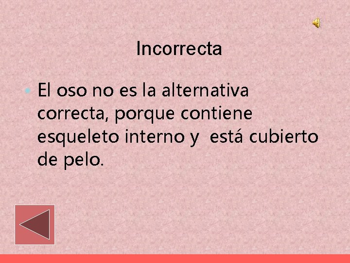 Incorrecta • El oso no es la alternativa correcta, porque contiene esqueleto interno y