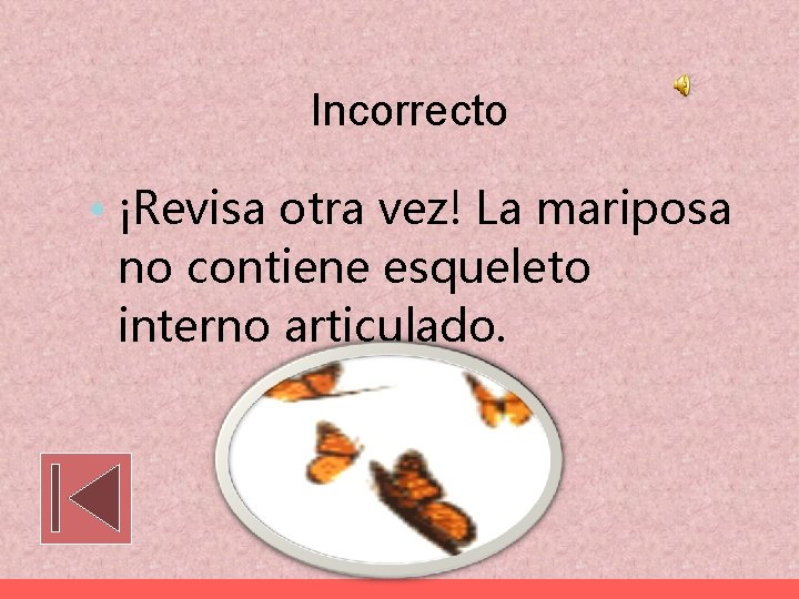 Incorrecto • ¡Revisa otra vez! La mariposa no contiene esqueleto interno articulado. 
