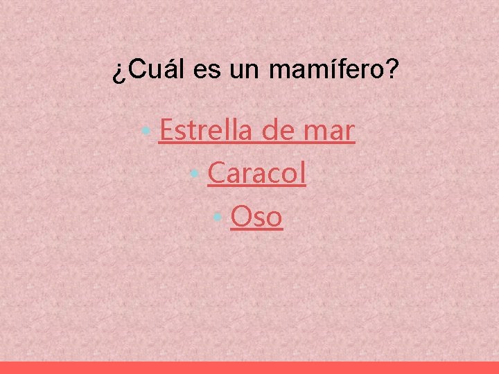 ¿Cuál es un mamífero? • Estrella de mar • Caracol • Oso 