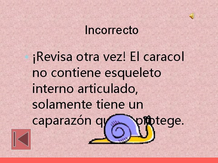 Incorrecto • ¡Revisa otra vez! El caracol no contiene esqueleto interno articulado, solamente tiene