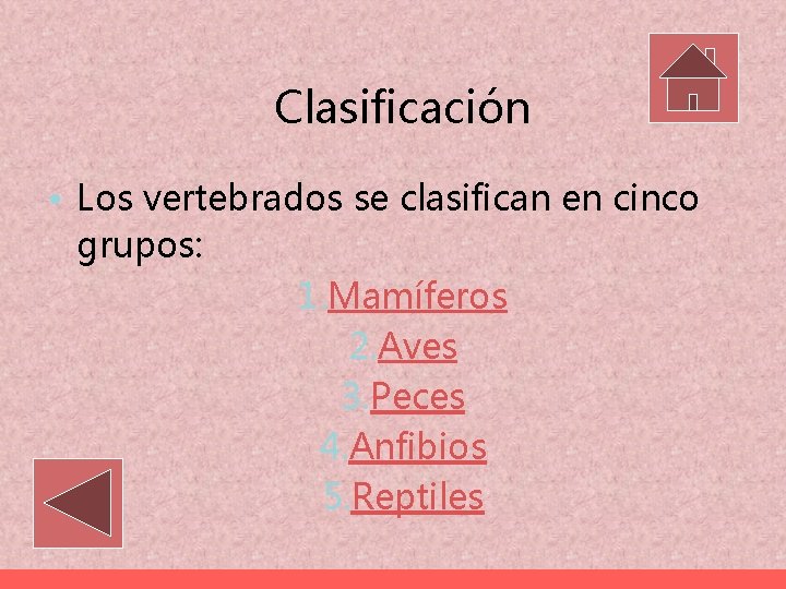 Clasificación • Los vertebrados se clasifican en cinco grupos: 1. Mamíferos 2. Aves 3.