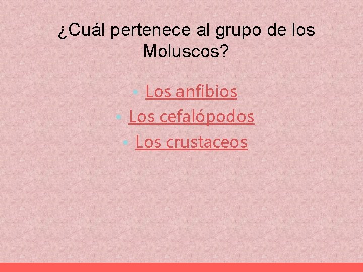 ¿Cuál pertenece al grupo de los Moluscos? • Los anfibios • Los cefalópodos •