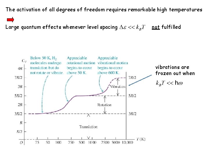 The activation of all degrees of freedom requires remarkable high temperatures Large quantum effects