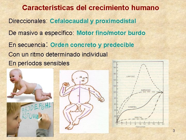 Características del crecimiento humano Direccionales: Cefalocaudal y proximodistal De masivo a específico: Motor fino/motor