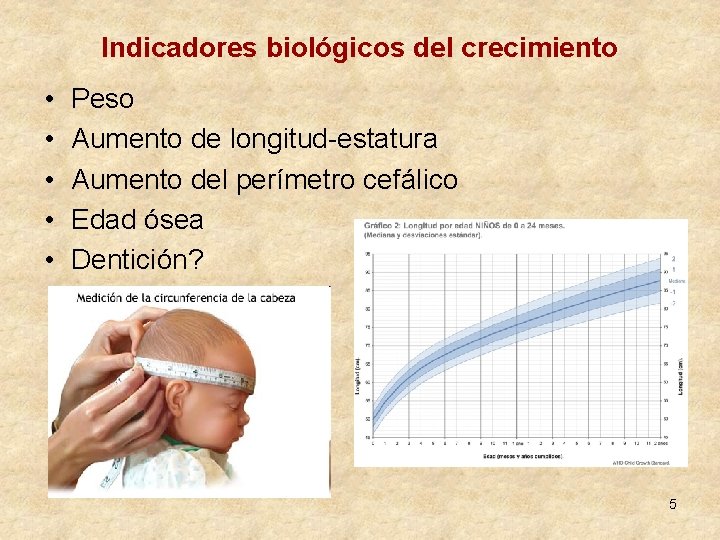 Indicadores biológicos del crecimiento • • • Peso Aumento de longitud-estatura Aumento del perímetro