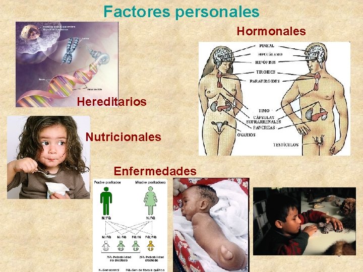 Factores personales Hormonales Hereditarios Nutricionales Enfermedades 9 