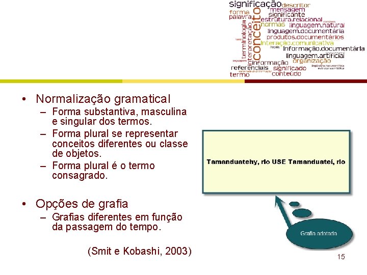  • Normalização gramatical – Forma substantiva, masculina e singular dos termos. – Forma