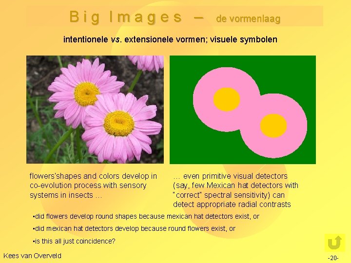 Big Images – de vormenlaag intentionele vs. extensionele vormen; visuele symbolen flowers’shapes and colors
