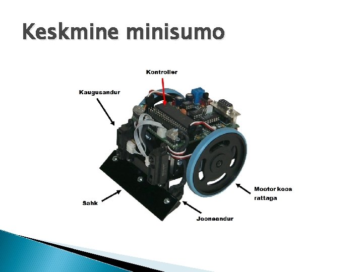 Keskmine minisumo 