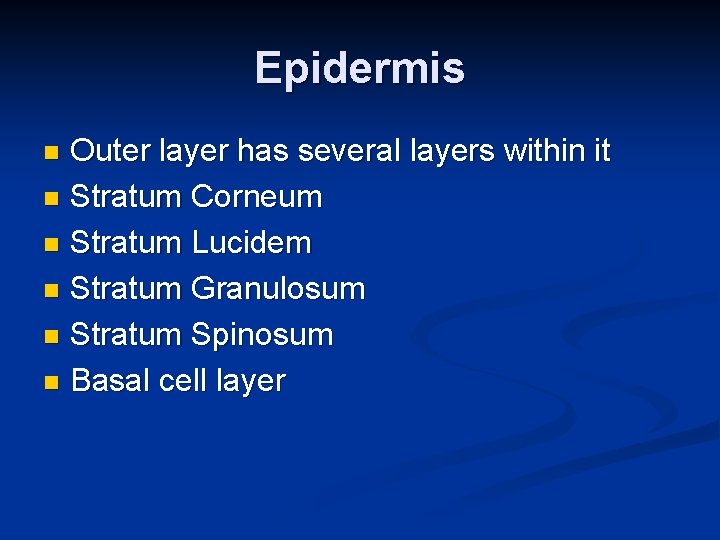 Epidermis Outer layer has several layers within it n Stratum Corneum n Stratum Lucidem
