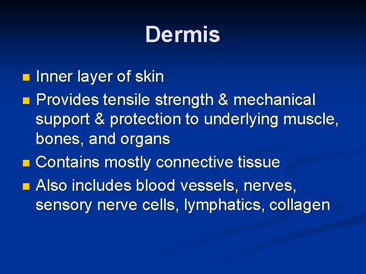 Dermis Inner layer of skin n Provides tensile strength & mechanical support & protection