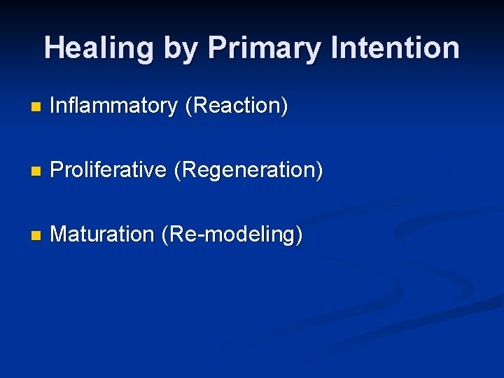Healing by Primary Intention n Inflammatory (Reaction) n Proliferative (Regeneration) n Maturation (Re-modeling) 