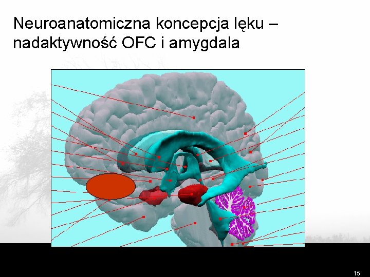Neuroanatomiczna koncepcja lęku – nadaktywność OFC i amygdala 15 