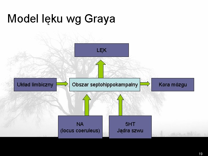 Model lęku wg Graya LĘK Układ limbiczny Obszar septohippokampalny NA (locus coeruleus) Kora mózgu