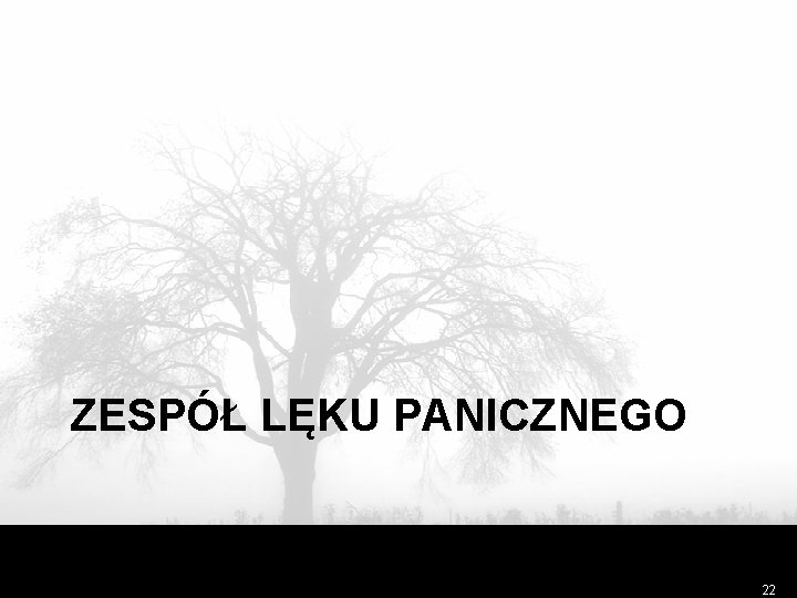 ZESPÓŁ LĘKU PANICZNEGO 22 