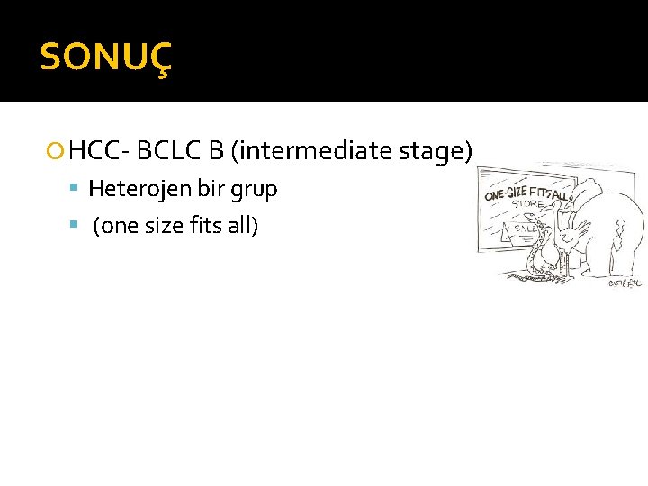 SONUÇ HCC- BCLC B (intermediate stage) Heterojen bir grup (one size fits all) 