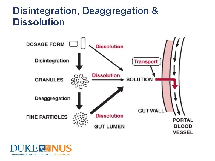 Disintegration, Deaggregation & Dissolution 
