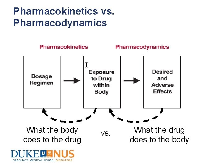 Pharmacokinetics vs. Pharmacodynamics What the body does to the drug vs. What the drug