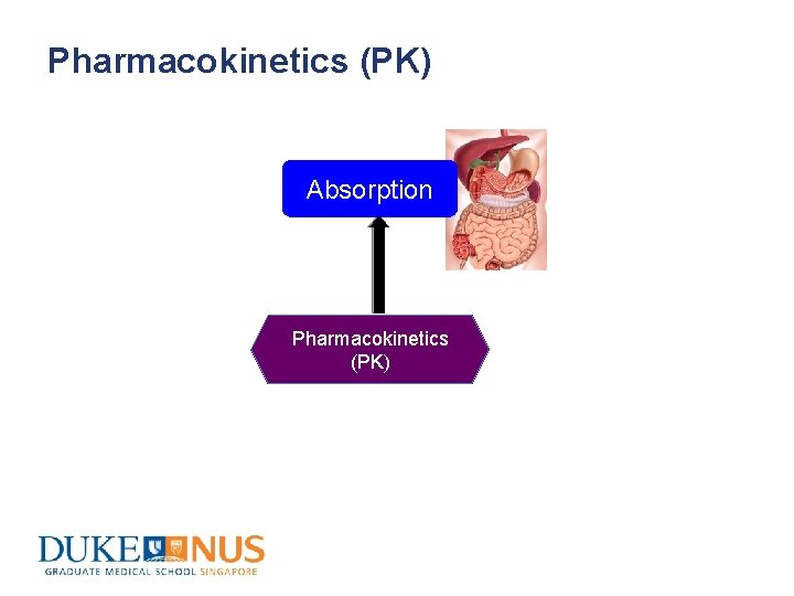 Pharmacokinetics (PK) Absorption Pharmacokinetics (PK) 