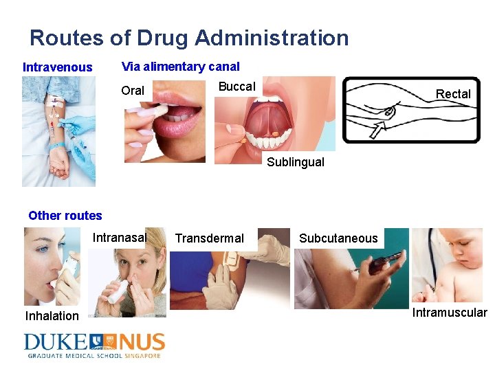 Routes of Drug Administration Via alimentary canal Intravenous Oral Buccal Rectal Sublingual Other routes