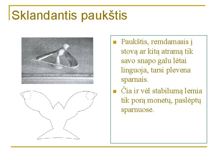 Sklandantis paukštis n n Paukštis, remdamasis į stovą ar kitą atramą tik savo snapo