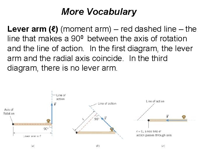 More Vocabulary Lever arm (ℓ) (moment arm) – red dashed line – the line