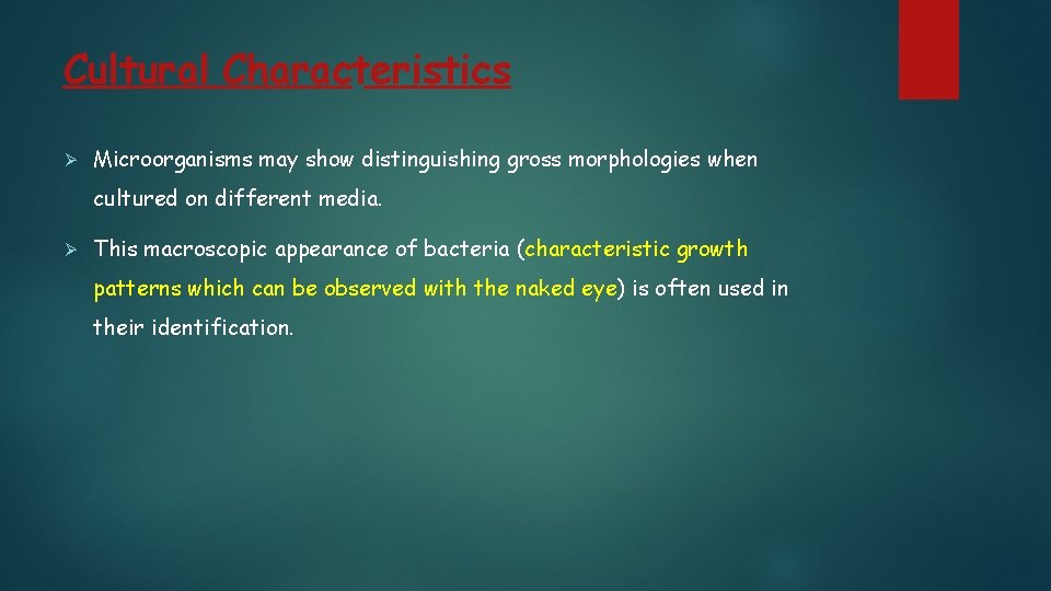 Cultural Characteristics Ø Microorganisms may show distinguishing gross morphologies when cultured on different media. Cultural Characteristics Ø Microorganisms may show distinguishing gross morphologies when cultured on different media.