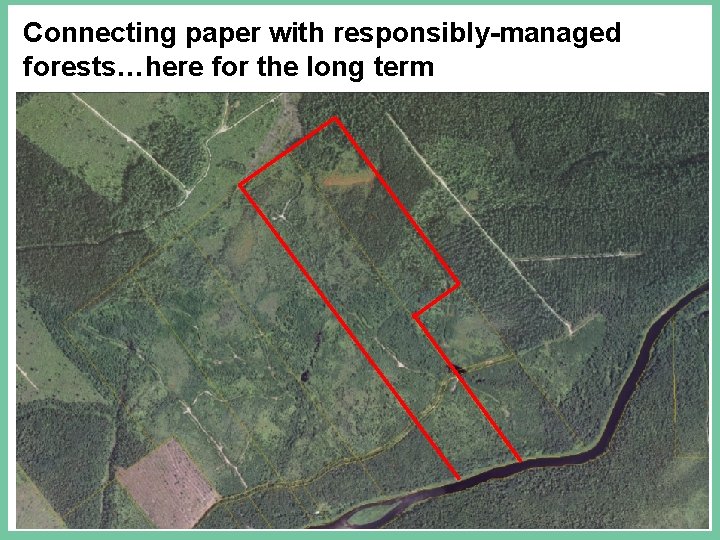 Connecting paper with responsibly-managed forests…here for the long term 