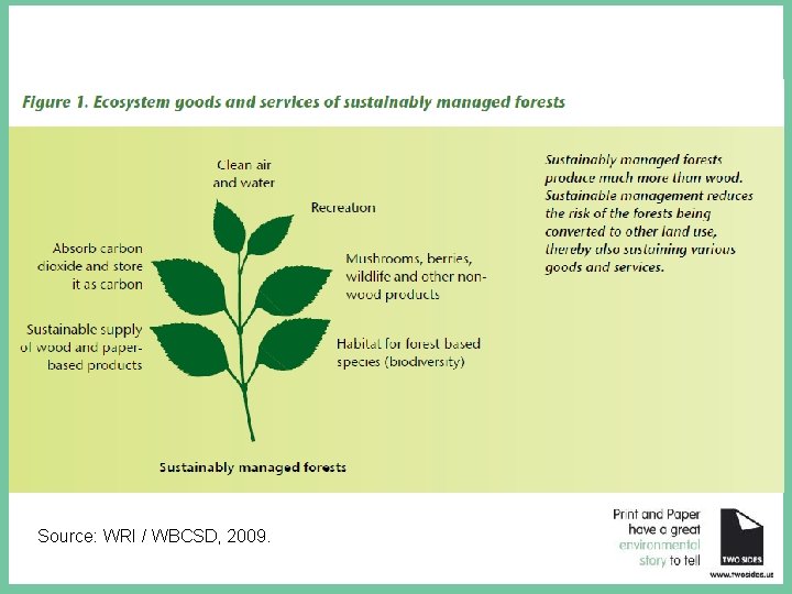 Source: WRI / WBCSD, 2009. 