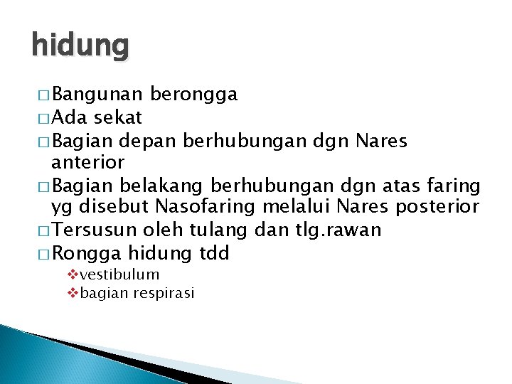 hidung � Bangunan � Ada berongga sekat � Bagian depan berhubungan dgn Nares anterior