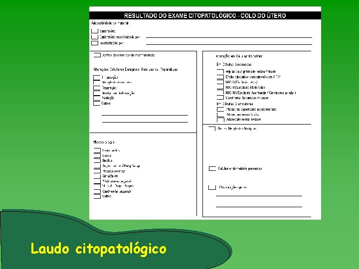 Laudo citopatológico 