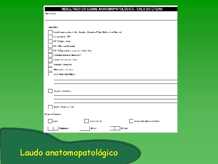 Laudo anatomopatológico 