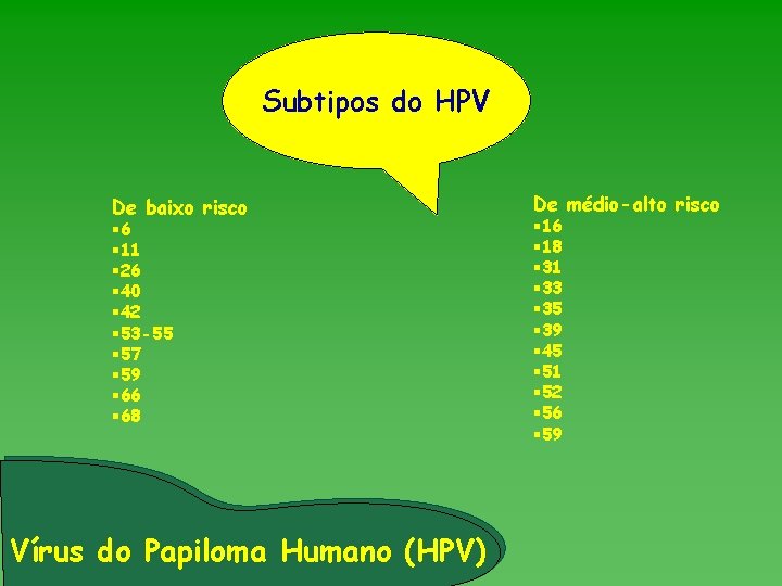 Subtipos do HPV De baixo risco § 6 § 11 § 26 § 40