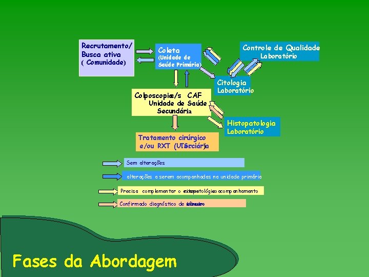 Recrutamento/ Busca ativa ( Comunidade) Coleta Controle de Qualidade Laboratório (Unidade de Saúde Primária)